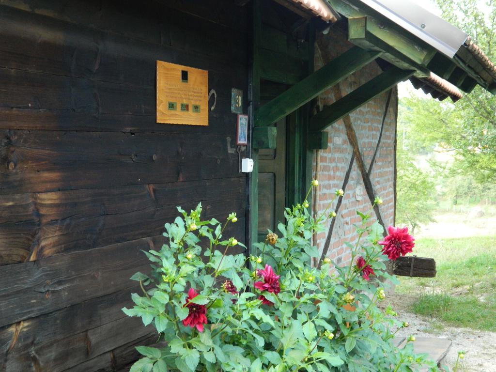 Chalet Belino Sokace Užice Esterno foto