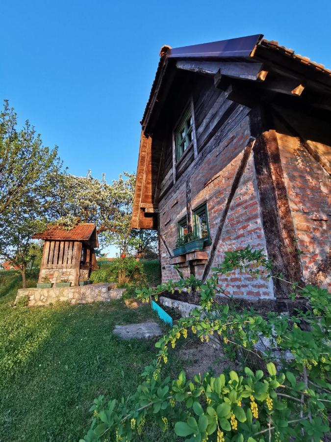 Chalet Belino Sokace Užice Esterno foto