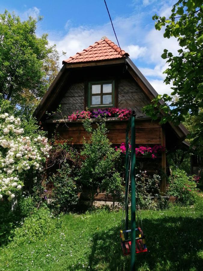 Chalet Belino Sokace Užice Esterno foto